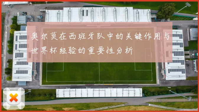 奥尔莫在西班牙队中的关键作用与世界杯经验的重要性分析