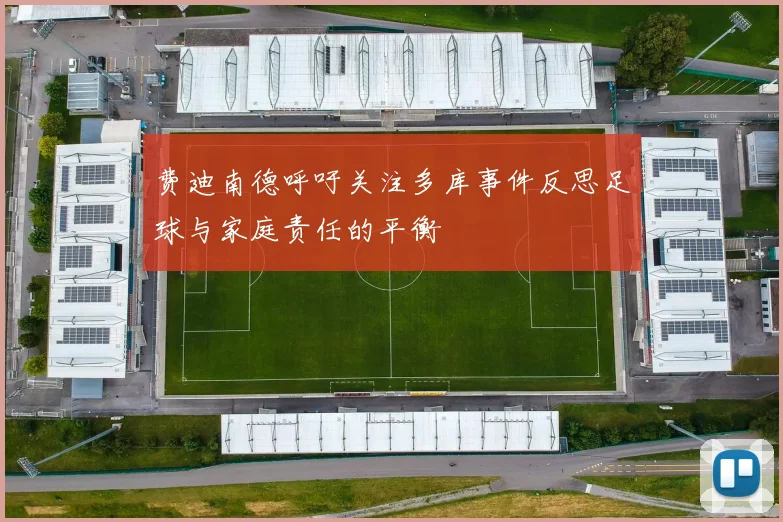 费迪南德呼吁关注多库事件反思足球与家庭责任的平衡